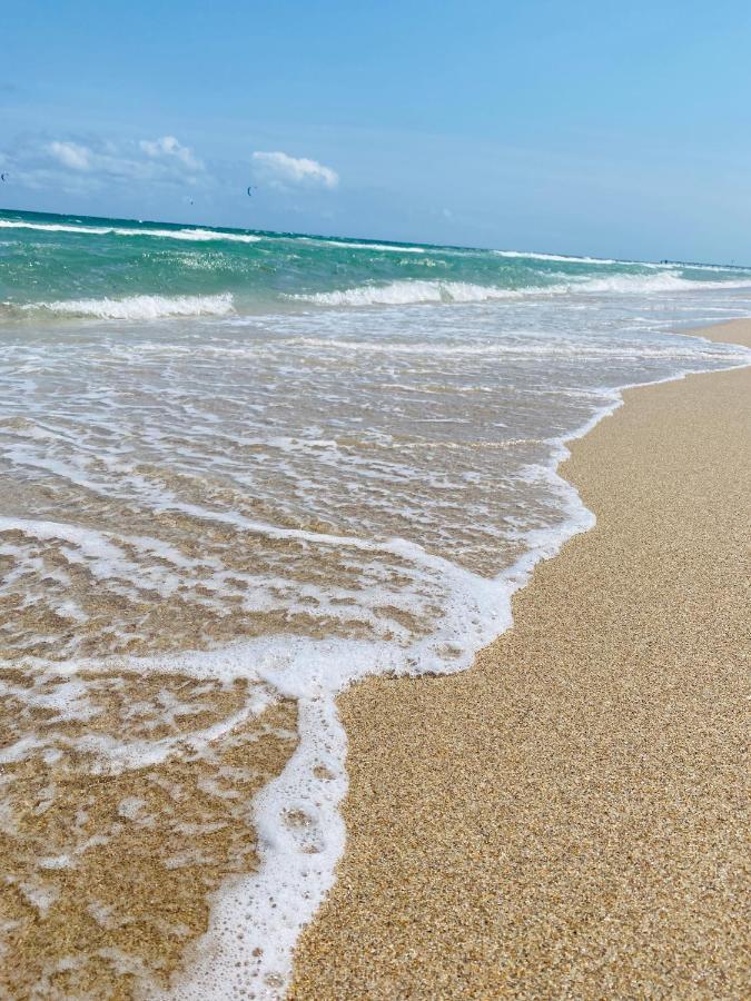 Studiobts - Lauderdale-By-The-Sea 帕诺滩 外观 照片