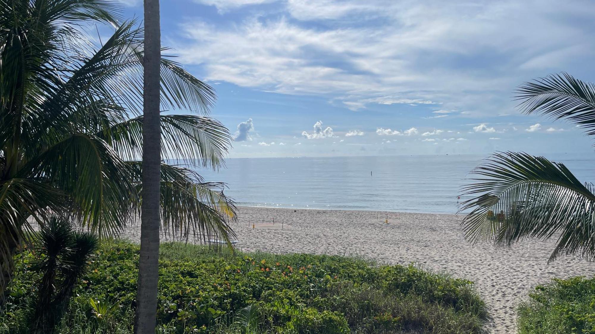 Studiobts - Lauderdale-By-The-Sea 帕诺滩 外观 照片